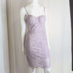 Bebe Sexy Lace Dress Sheer Panels Size 8